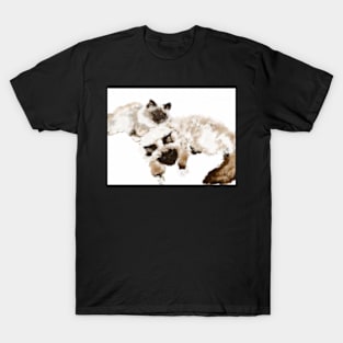 Burmese Cat Best Friends T-Shirt